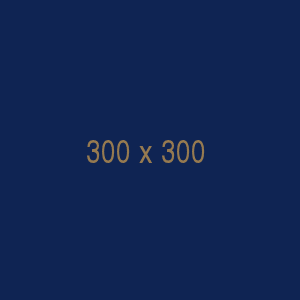 Icon Box Title